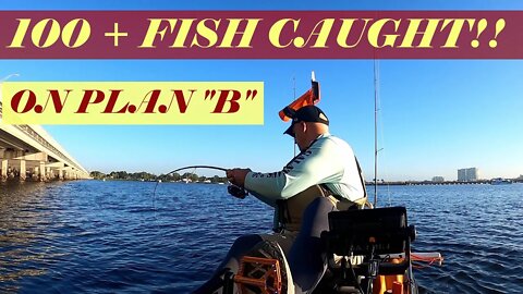 We Caught A TON Of Fish (Snapper, Sheepshead and Jack) On Plan B! Manatee River near Bradenton