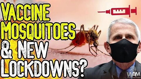 VACCINE MOSQUITOES + NEW LOCKDOWNS. - Fauci Hospitalized - Bill Gates Mosquitoes In Massachusetts