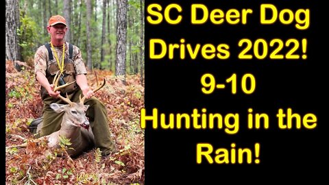 SC Deer Dog Drives 2022! Hunting in a Monsoon!