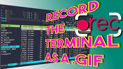 How To Record The Terminal With ASCIINEMA & TTYrec