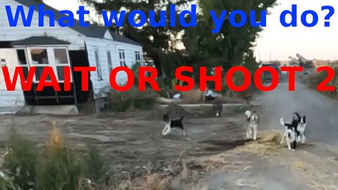 What would you do? WAIT OR SHOOT 2