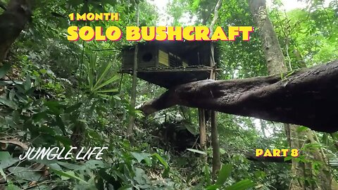 1 Month Solo Bushcraft. Build a box-shaped house on a tree. Survive in the Wild part 8