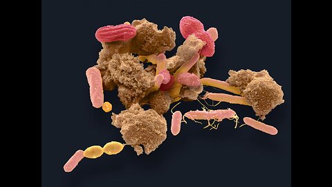 Nanoparticulate Matter in All Food Products