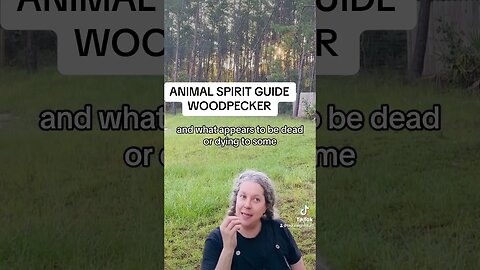 ANIMAL SPIRIT GUIDE MESSAGE 💰WOODPECKER # shortsfeed #goodvibes #affirmations #spiritualawakening