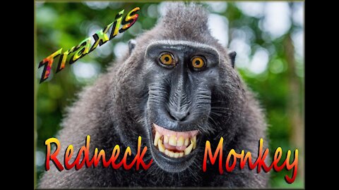 Traxis ~ Redneck Monkey