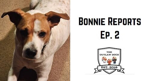 Bonnie Reports Ep. 2