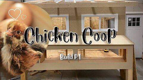 Spring Seeds Planting | Chicken Coop Build Part 1