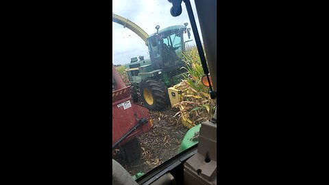 Making cow chow day 2