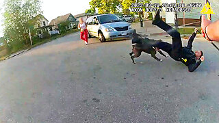 Pit Bull Attacks Officer During Terrifying Rampage