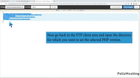 How to Set the PHP Version per Folder with FelizHosting