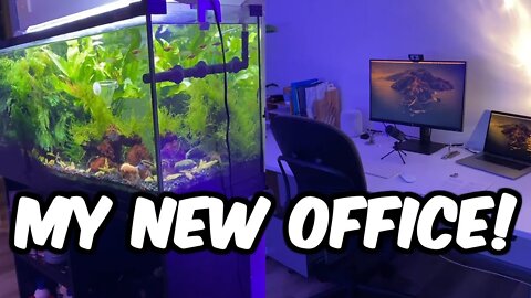 My New Office For 2021 (With An Aquarium)