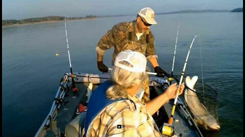 Blue catfish Eastern Kansas 5