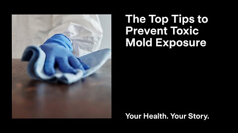 The Top Tips to Prevent Toxic Mold Exposure