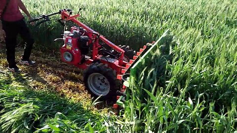 Grass Cutter Machine On Work