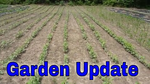 Homestead and Graden Update