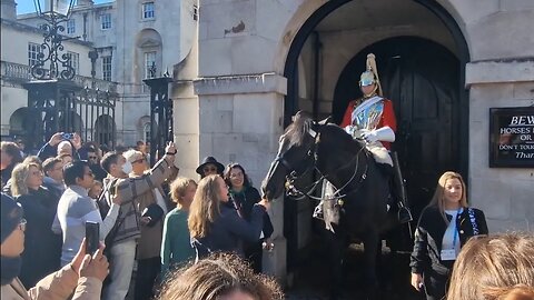 The horse grabs her finger #horseguardsparade