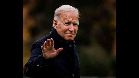 D'Amato Slams Biden as 'Fake Moderate'