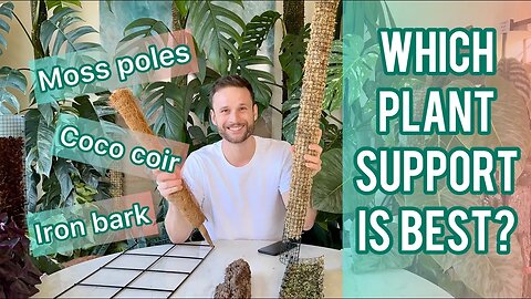 Comparing plant supports - Pros & Cons