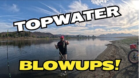 Bass Fish Stocking | Lake Elsinore | Fishing Report | Oct 2024