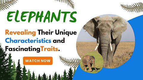 Elephants, Revealing Their Unique Characteristics and Fascinating Traits.