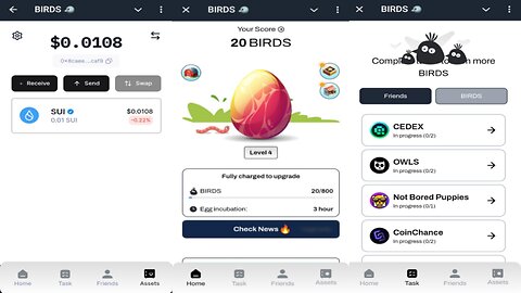 Birds | The Cross-social Memecoins And GameFi Inspired By Telegram & X | Telegram Crypto Mining Bot