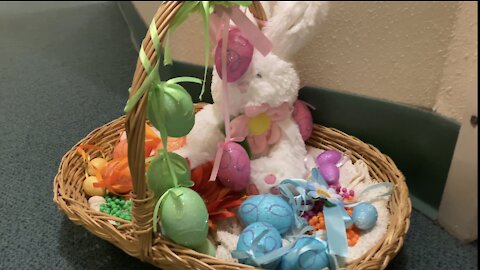 met the Easter bunny at a hallway of an apartment.