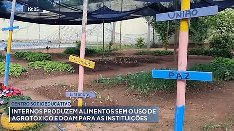 Centro Socioeducativo: Internos Produzem Alimentos sem Uso de Agrotóxico e Doam para Instituições.