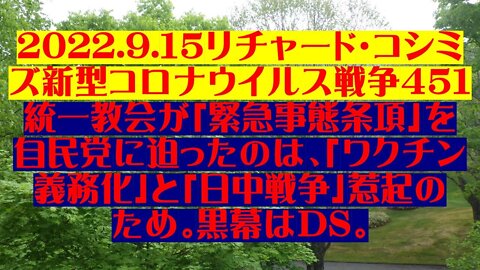 2022.09.15 リチャード・コシミズ新型コロナウイルス戦争４５１