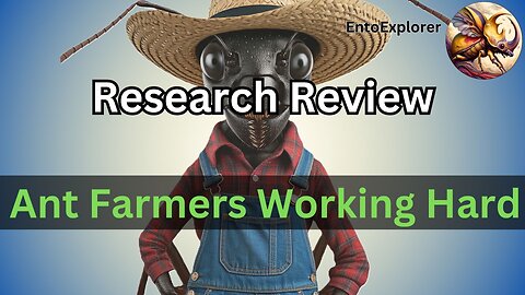 Research Review - Ant Farmers Change The Bodies Of Their Mealybug Livestock