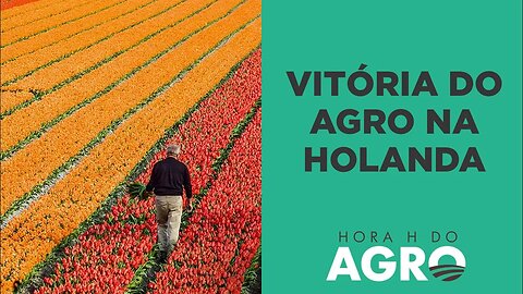 Partido agrícola da Holanda ganha espaço no Senado e deve frear medidas do governo contra o setor