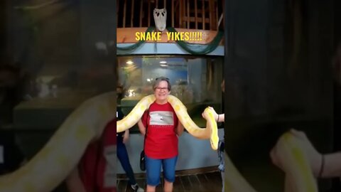 SNAKE YIKES !!!!! #shorts