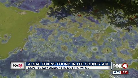 Algae toxins found in Lee County air