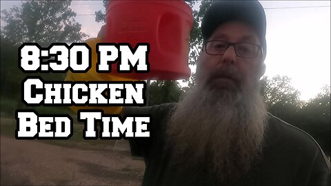 8:30 PM Chicken Bed Time | Self-Employed, No Government Handouts Here | Arkansas homestead chickens