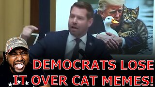 Democrat MELTSDOWN On Congress Floor Over Trump Cat Memes In Backlash Over Haitian Migrants In Ohio!