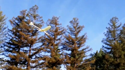 The Crow Hand Launched Glider