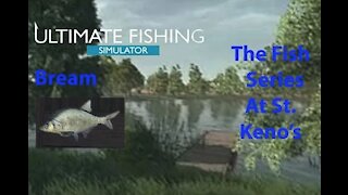 Ultimate Fishing Simulator: The Fish - St. Kenos - Bream - [00013]