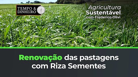 A melhoria e a renovação das pastagens com as as variedades da Riza Sementes