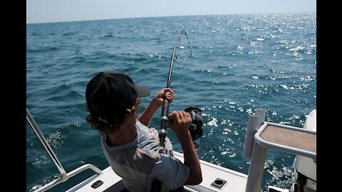 Catching Big Tuna, Big Fish Caught in The Sea - Amazing Fishing Skills