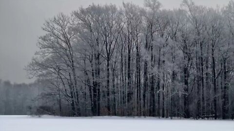 How to Paint an Impressionistic Snowscene in Acrylics