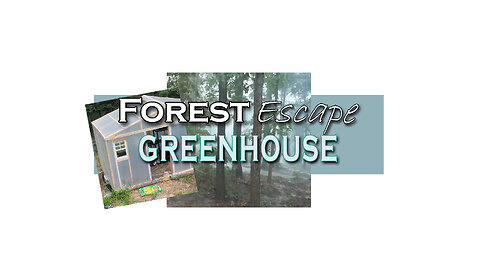 Forest Escape Build Your Own Greenhouse