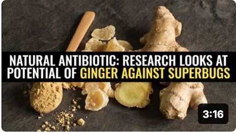 Natural antibiotic: Research looks at potential of ginger against superbugs