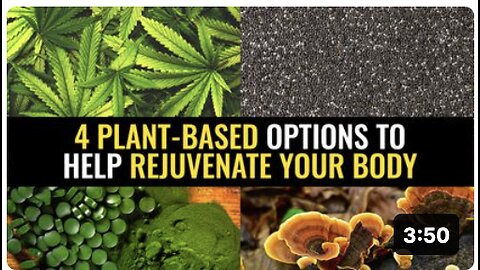 4 Plant-based options to help rejuvenate your body