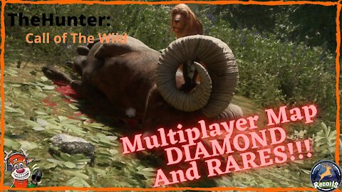 COTW: Shooting a Diamond & Rares on Multi-Player Servers.