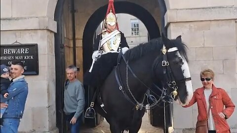 Another Dumb tourist walks through the horse Box #horseguardsparade