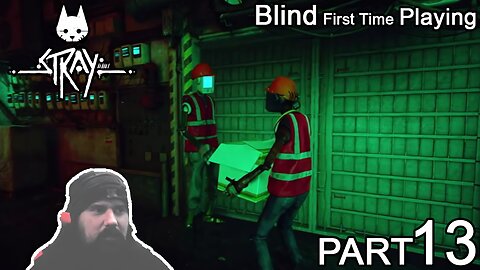 I got hired! | Blind First Time Playing STRAY | Part 13