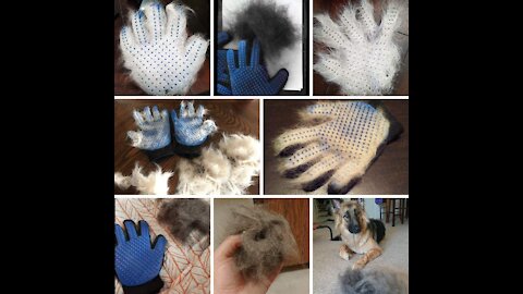 New Cool Gadgets 😍😍 Pet Grooming Gloves For Cats, Dogs #Shorts