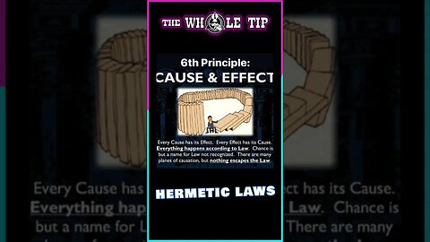 HERMETIC LAW VI CAUSE & EFFECT - the Whole Tip #shorts #short #shortvideo #subscribe #shortsvideo