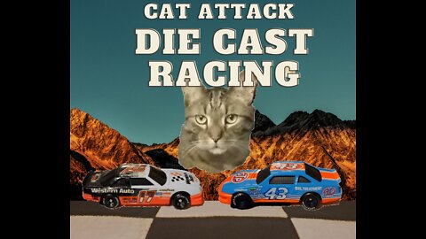 Cat Attack Die Cast Racing ( Drag Race Between 2 NASCAR legends toy cars)