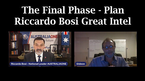 The Final Phase - Plan > Riccardo Bosi Great Intel