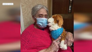 Some residents at a nursing home in Charlotte got mechanical companion pets.